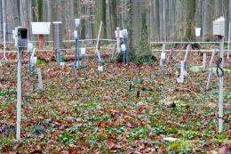 Wireless sensor network monitors microclimate in the forest 
