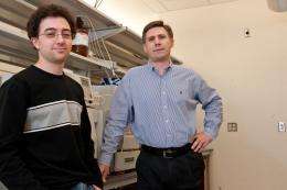 Chemists cram two million nanorods into single cancer cell