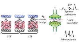 Atomic nano-switches emulate human memory