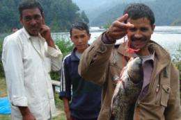 Fish cage culture catches on in Nepal