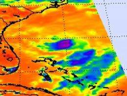NASA satellites confirm Tropical Storm Bret's heaviest rains on the eastern side