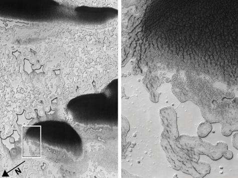 Dry ice lake suggests Mars once had a 'Dust Bowl' (Update)