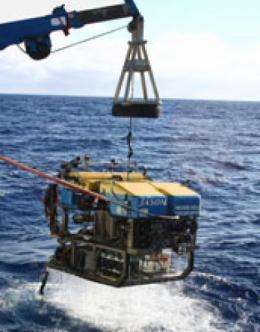'Fool's Gold' from the deep is fertilizer for ocean life