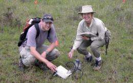 From tropics to poles: Study reveals diversity of life in soils