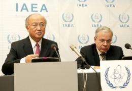 International Atomic Energy Agency (IAEA) Director-General Yukiya Amano
