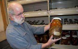 'Library of Fishes' to feature thousands of specimens from remote locations