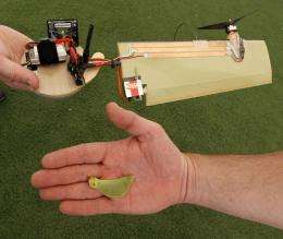 Lockheed Martin develops maple-seed-like drone