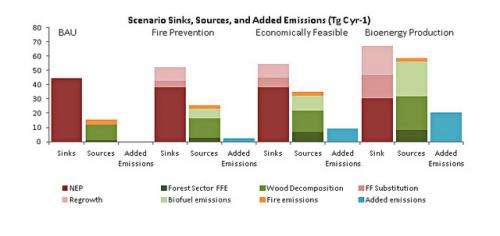Production of biofuel from forests will increase greenhouse emissions