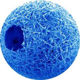 Researchers inject nanofiber spheres carrying cells into wounds to grow tissue 