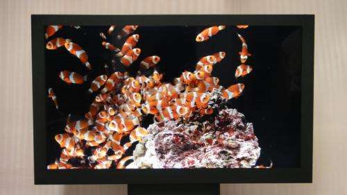 Sony unveils 3D and color e-paper displays at this week’s SID 2011