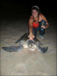 Survey identifies sea turtle 'hitchhikers'