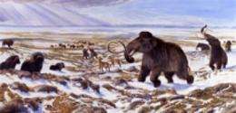 Unraveling the causes of the Ice Age megafauna extinctions