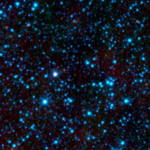 Wise mission discovers coolest class of stars