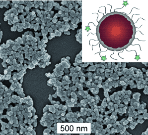 Contrast agent for tumor diagnostics: Phosphorescent metal-organic coordination polymers for optical imaging