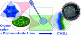 Synthetic cells: Ion exchange leads to complex cell systems with inorganic membranes