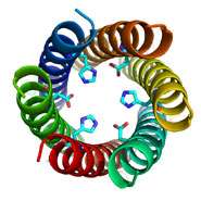 New protein structure expands nature's repertoire of biomolecules