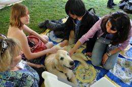 Students dogged by stress get help from therapy pups