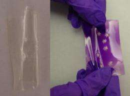 Researchers create elastic material that changes color in UV light