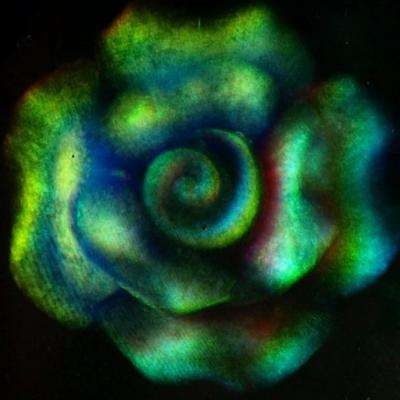 Researchers discover way to create true-color 3-D holograms