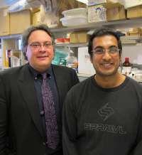 Researchers move closer to a cure for a deadly cardiovascular disease