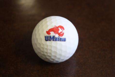 Researchers use lobster shells to create biodegradable golf ball