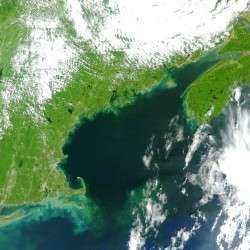 Satellite image of post-Irene Gulf of Maine shows high levels of river discharge