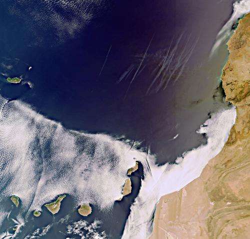 Earth from Space: Volcanic Canaries