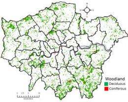 New study shows how trees clean the air in London