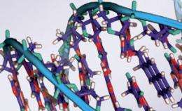 60 new mutations in each of us: Speed of human mutation revealed in new family genetic research