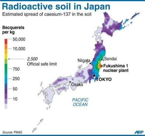 Graphic showing the distribution of radioactive caesium in the soil across Japan