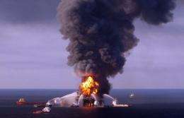 About five million barrels of oil spilled into the Gulf of Mexico after the BP-operated Deepwater Horizon rig exploded