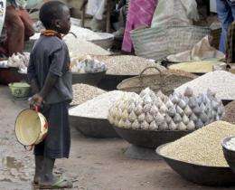 A boy looks at corn, rice and millet at the food market in Maradi, Niger in 2005