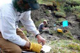 Abrupt permafrost thaw increases climate threat
