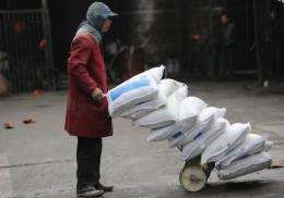 A Chinese worker delivers bags of rice at a warehouse in Hefei