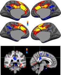 The error-correcting brain: New insights into the neurobiology of adaptive behavior