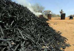A man makes charcoal from twigs pruned from local forest during a controlled charcoal-making excercise at Maungu, Kenya