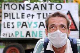 An activist demonstrates against genetically-modified crops in France