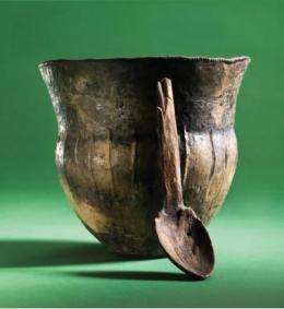Ancient cooking pots reveal gradual transition to agriculture