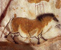 Ancient DNA provides new insights into cave paintings of horses