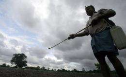 An Indian farmer spraya pesticide onto a field on the outskirts of Kolkata
