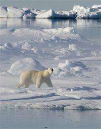 APNewsBreak: study warns of mercury in Arctic (AP)