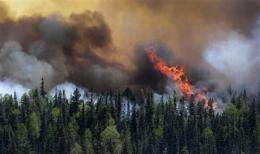 Arizona blaze part of new era _ more big wildfires (AP)
