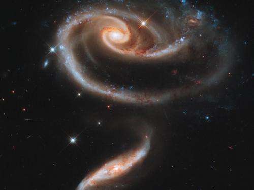 A 'Rose' made of galaxies