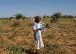 Around 13 million people are believed to live in Sudan's vast woodland savanna, or gum arabic belt