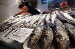 Around 40 percent of hake is mislabeled