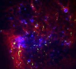 Astronomers look to neighboring galaxy for star formation insight