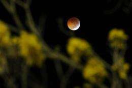 A total lunar eclipse occurs when Earth casts its shadow over the Moon