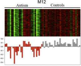 Autism blurs distinctions between brain regions