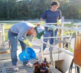 Bacteria convert wastewater chemicals into toxic form