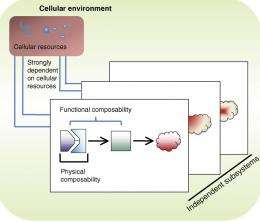Biological circuits for synthetic biology